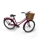 Bicicleta-con-canasto-2.webp