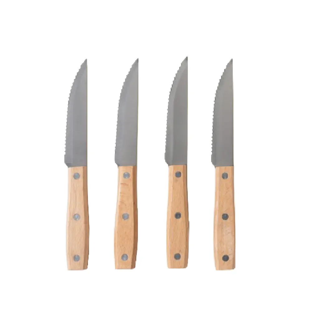 Set x 4 Cuchillos Mango