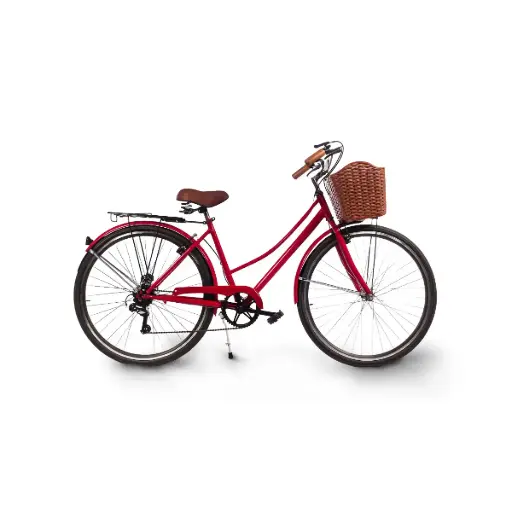 Bicicleta con Canasto
