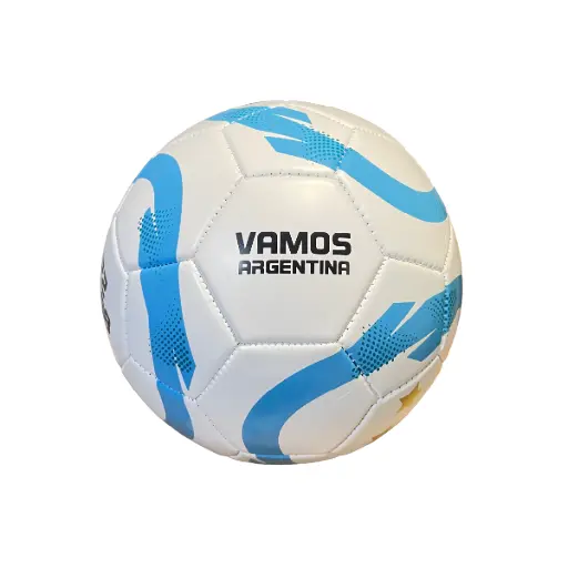 Pelota Argentina Celeste y Blanca